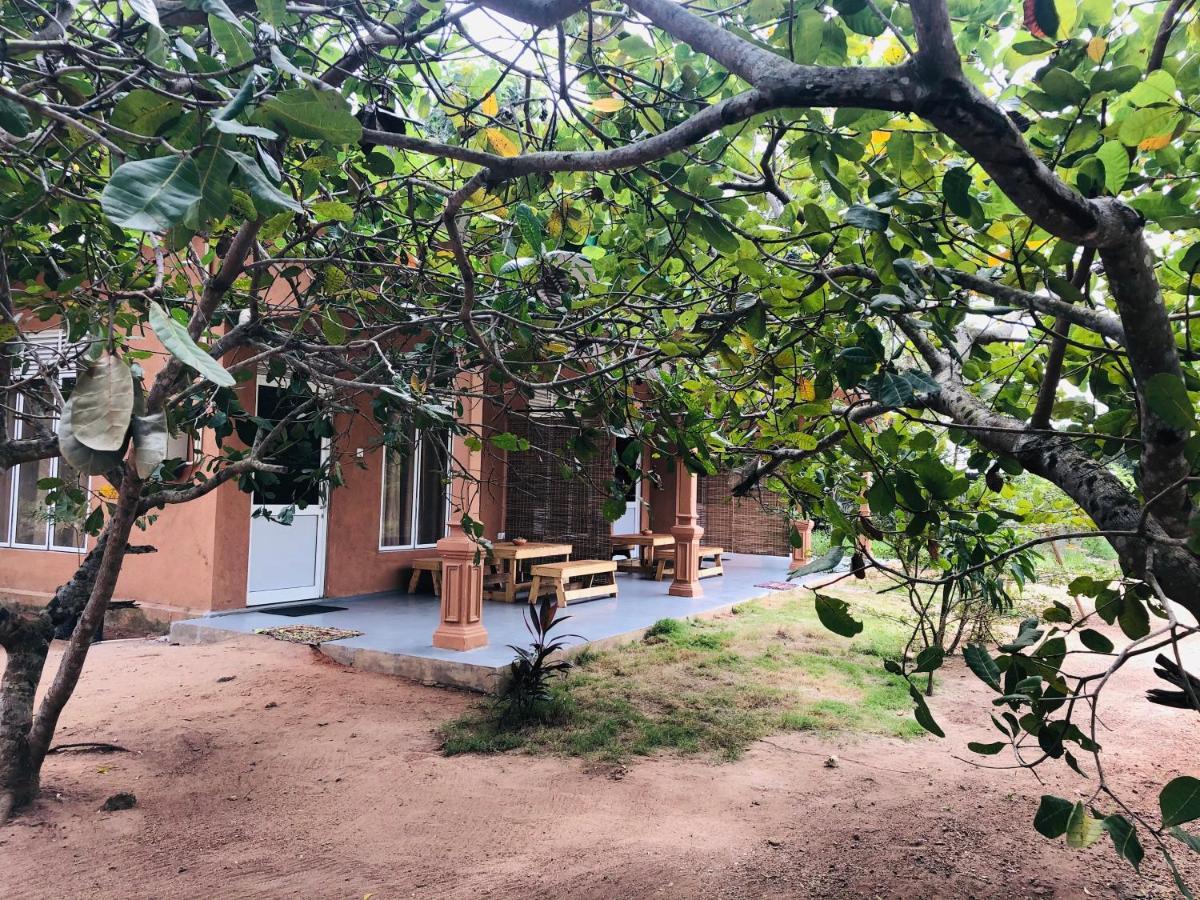 فندق Wilpattu Wildhideaway Galkadawala المظهر الخارجي الصورة